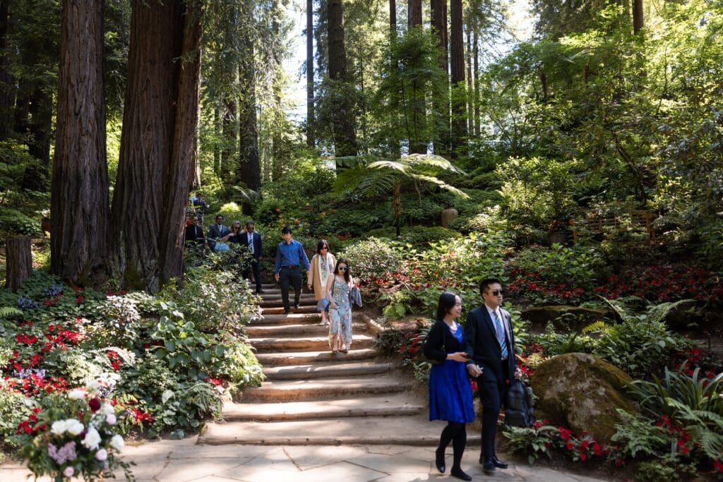 Wedding guests walking down the outdoor steps at the Nestldown wedding