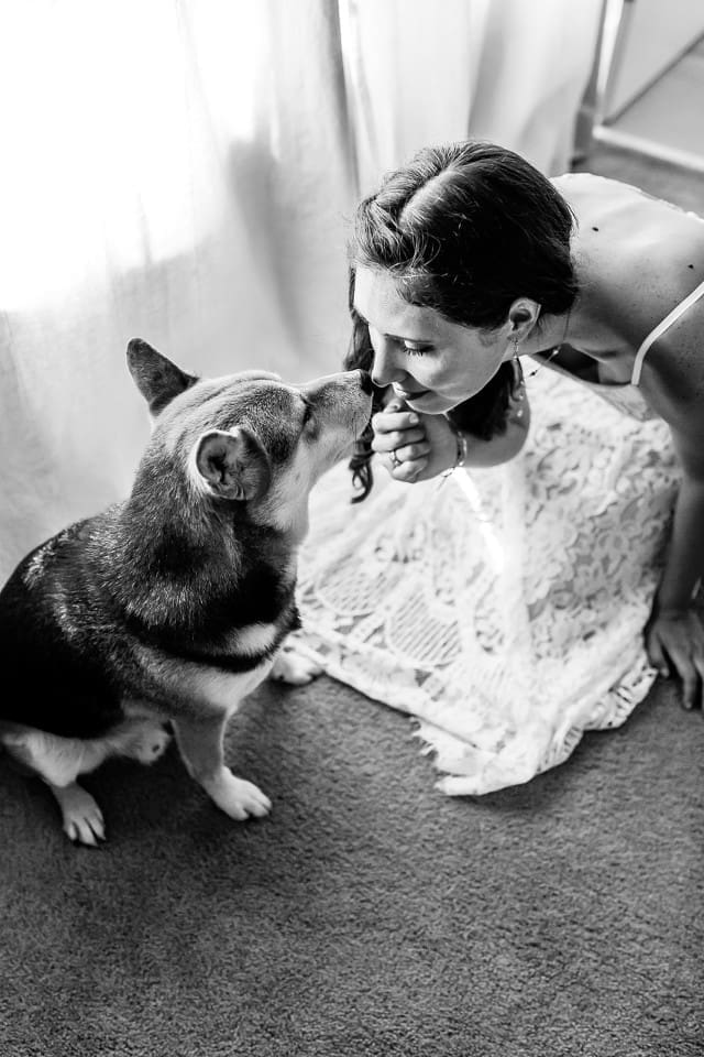 Black and white photo of bride and dog at Sonoma wedding