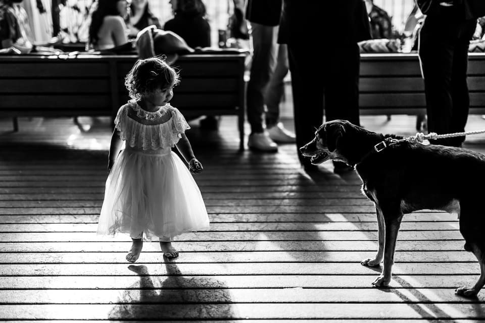 Black and white photo of flower girl with dog at wedding