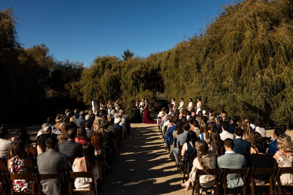 Wedding ceremony in Petaluma California at Olympia's Valley Estate