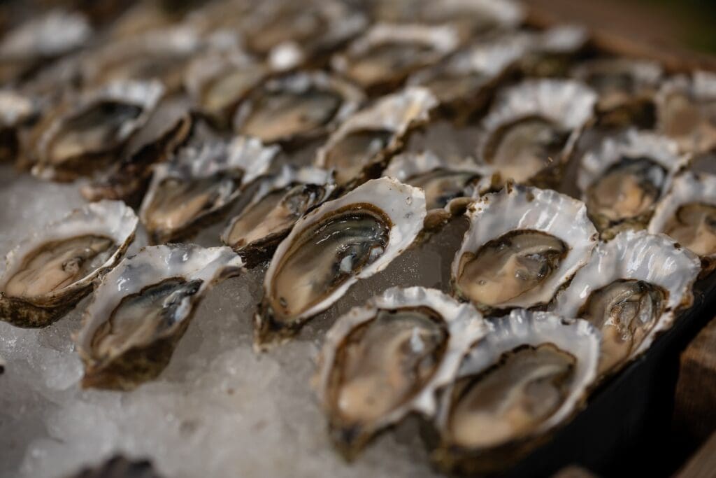 Local Hog Island Oysters at The Haven at Tomales Wedding