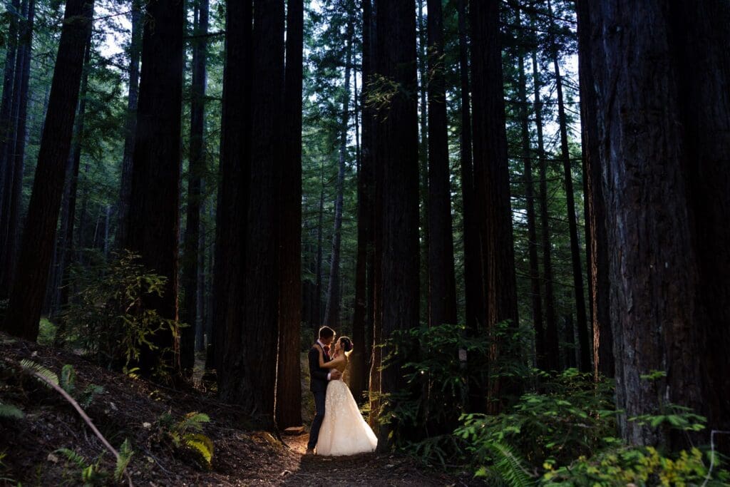 Mendocino Woodlands wedding in the redwoods surrounded by towering trees
