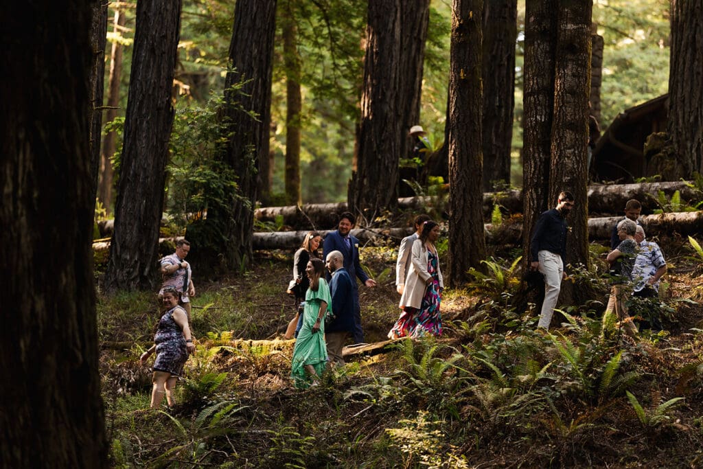 Guests walking through the redwoods to a Mendocino wedding ceremony