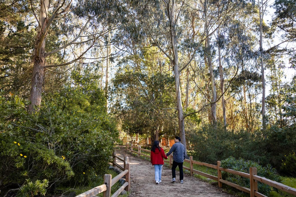 Couple walking through Monarch Butterfly Sanctuary in Pacific Grove