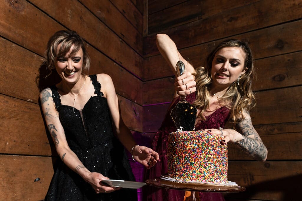 Cake cutting at Olympias Valley Estate LGBTQ wedding in Petaluma CA