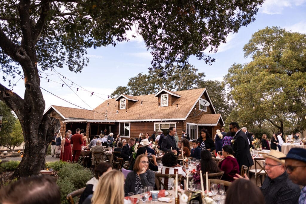 candid moments at relaxed backyard wedding in Sonoma County