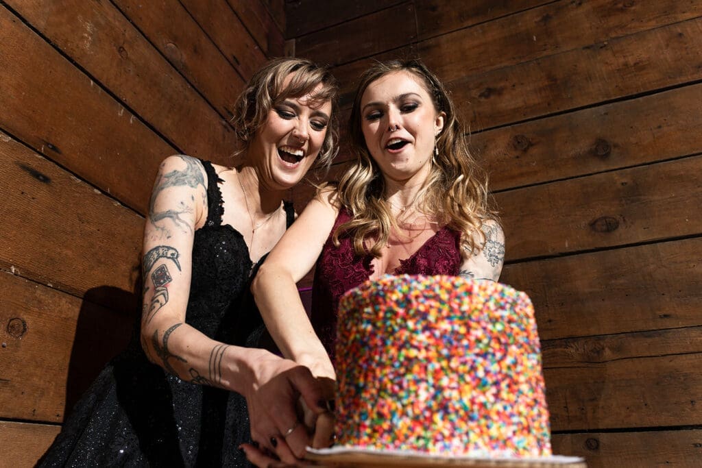 Cake cutting at Olympias Valley Estate LGBTQ wedding in Petaluma CA
