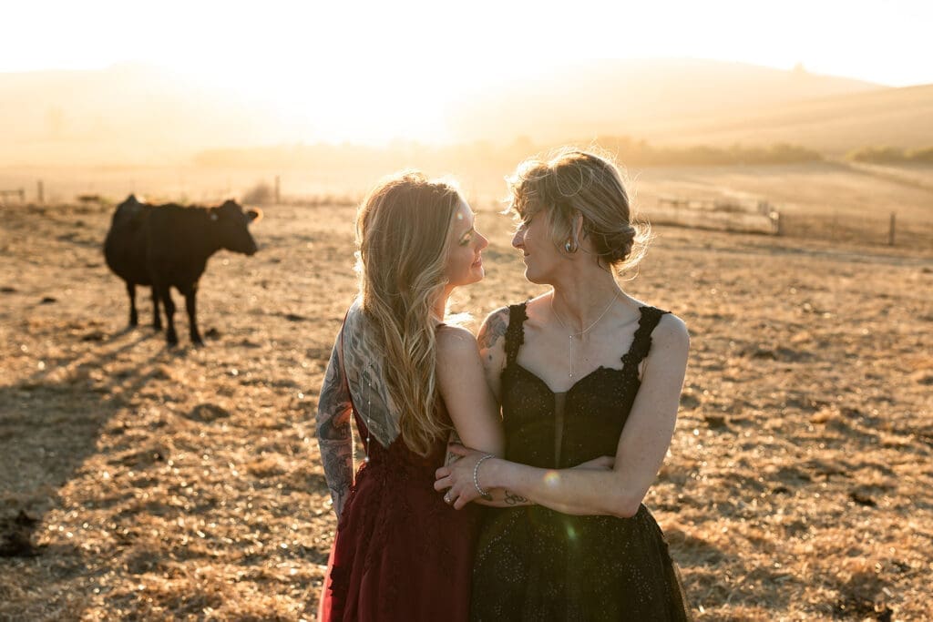 LGBTQ Brides in black and burgundy gowns at Olympias Valley wedding in Petaluma during Golden Hour.