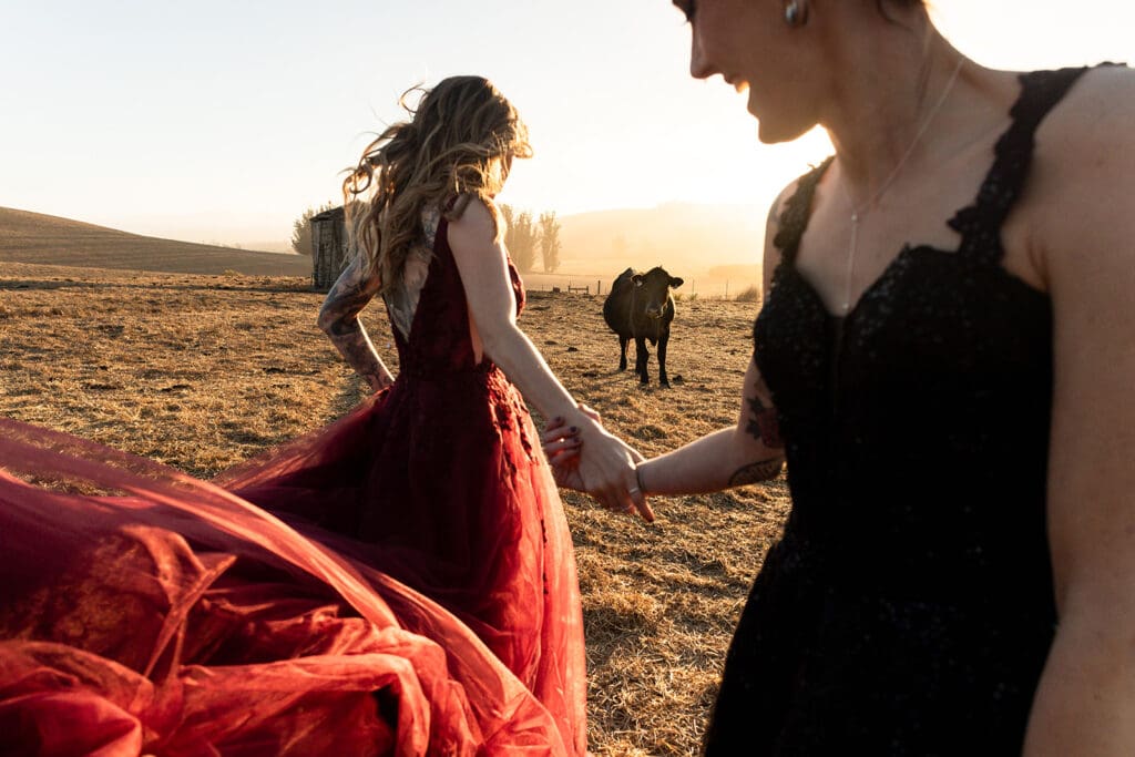 LGBTQ Brides in black and burgundy gowns at Olympias Valley wedding in Petaluma during Golden Hour.