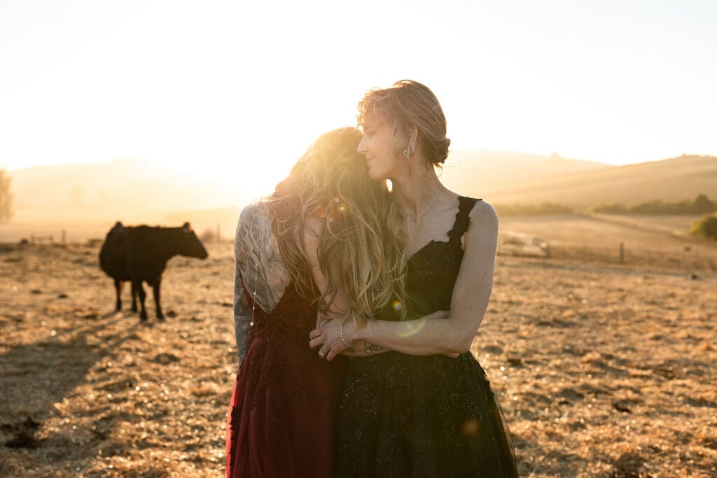 Petaluma Wedding couple embraces in golden hour with farm backdrop
